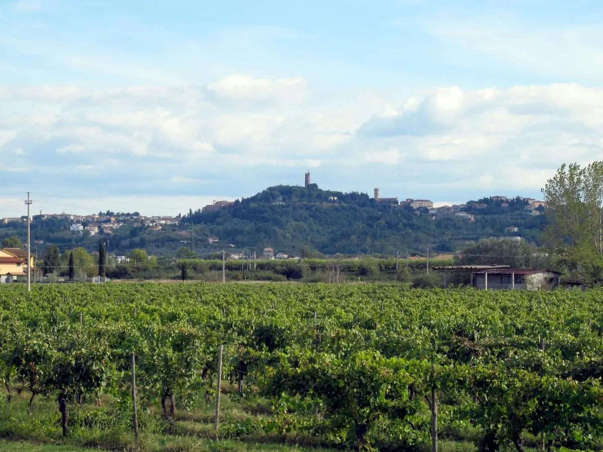 Holiday Home Casa Girasole - Smn101 By Interhome San Miniato 0*,