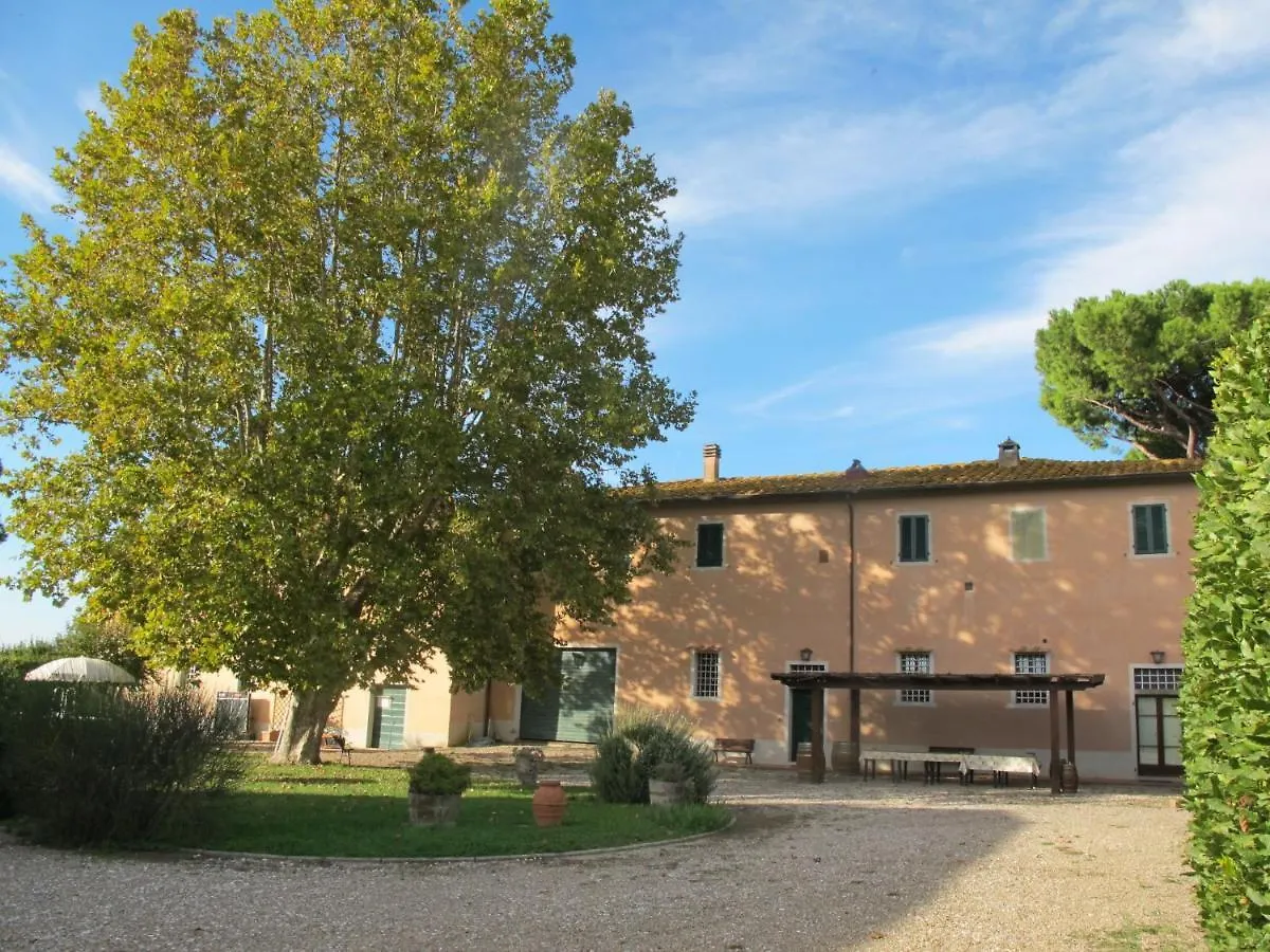 Holiday Home Casa Girasole - Smn101 By Interhome San Miniato 0*,